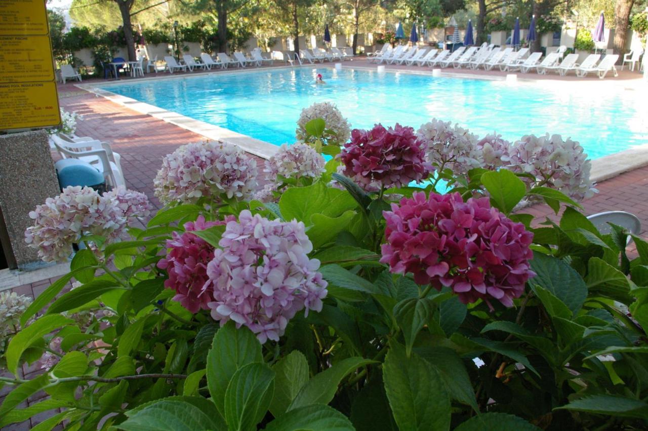 Camping Village Punta Navaccia Tuoro sul Trasimeno Ngoại thất bức ảnh